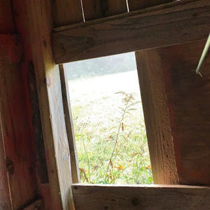 Meet your Posher, Matthew